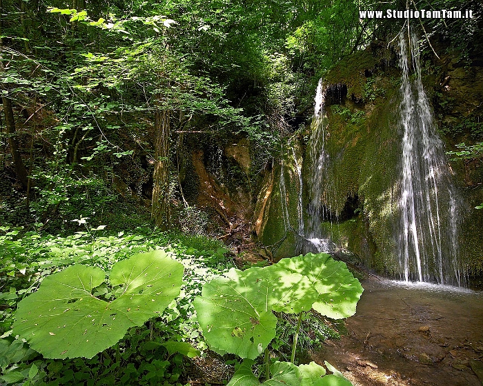 Cascata_nel_bosco.jpg