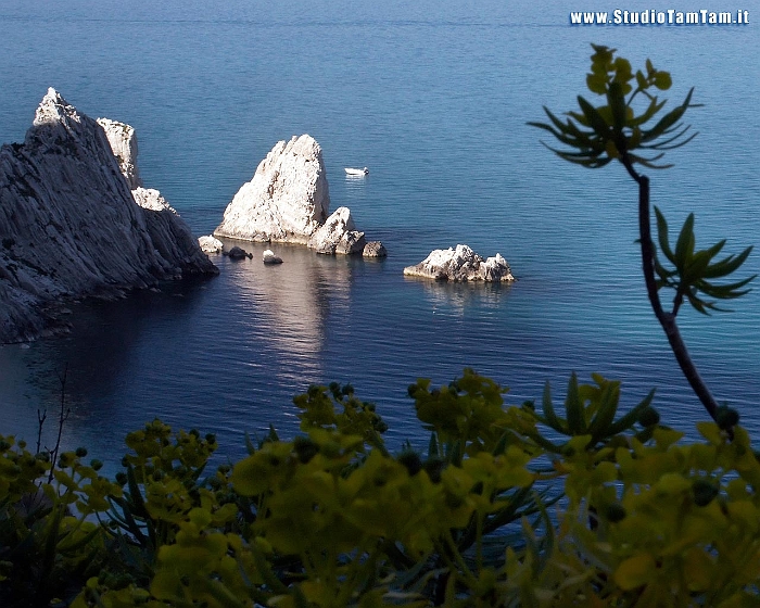 Spiaggia_del_Conero.jpg